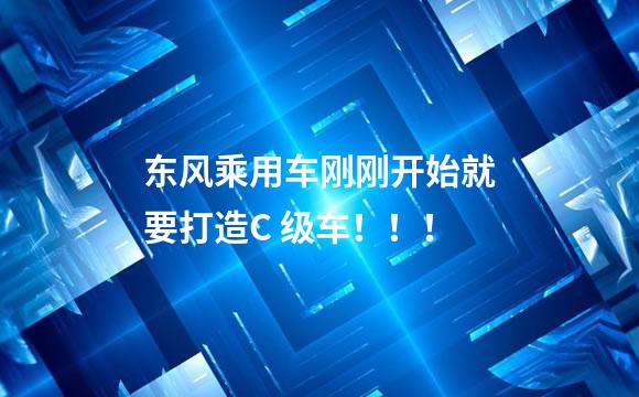 东风乘用车刚刚开始就要打造C 级车！！！